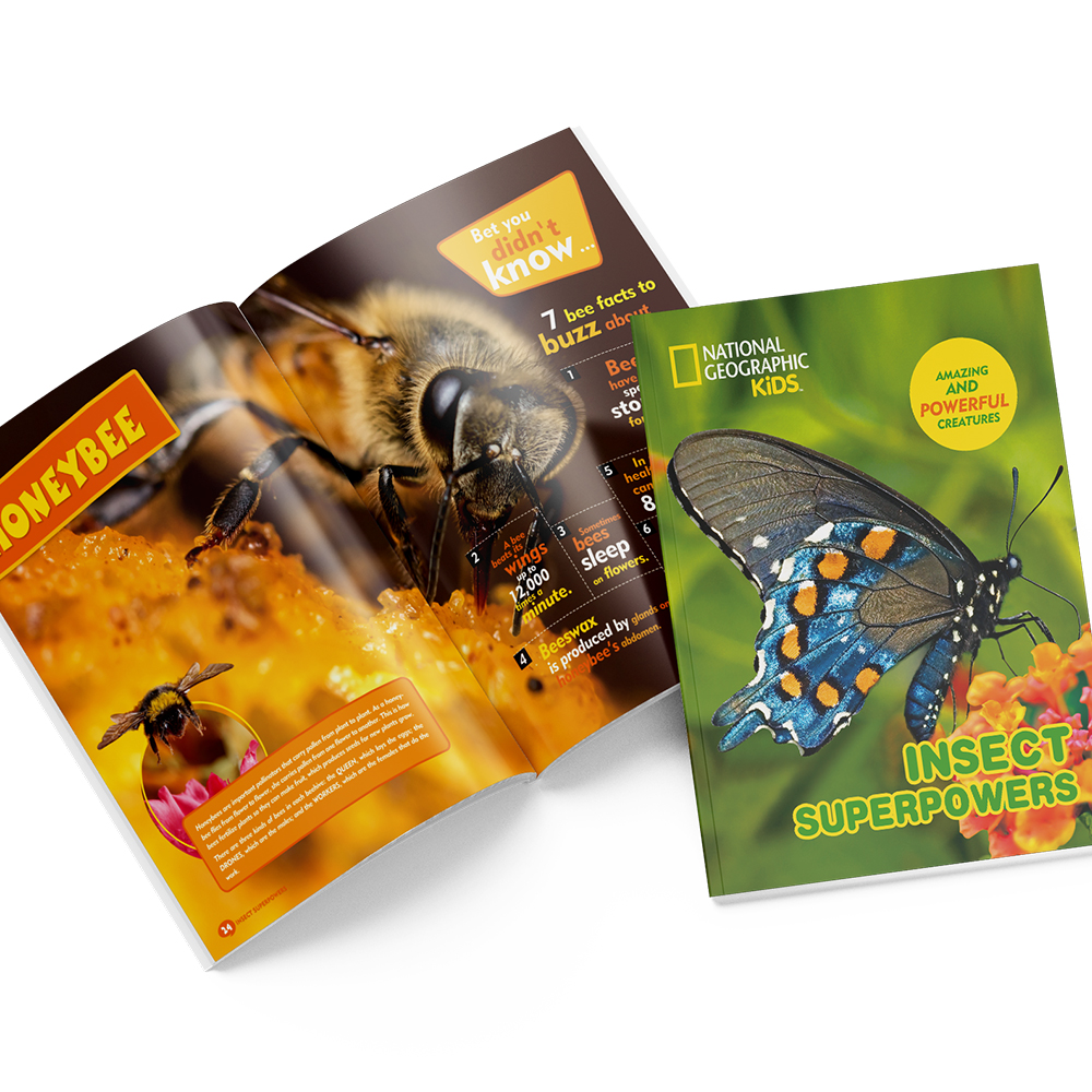 cubicfun-explorer-ds0982h-insectes-puzzle-3d-ducatif image 3