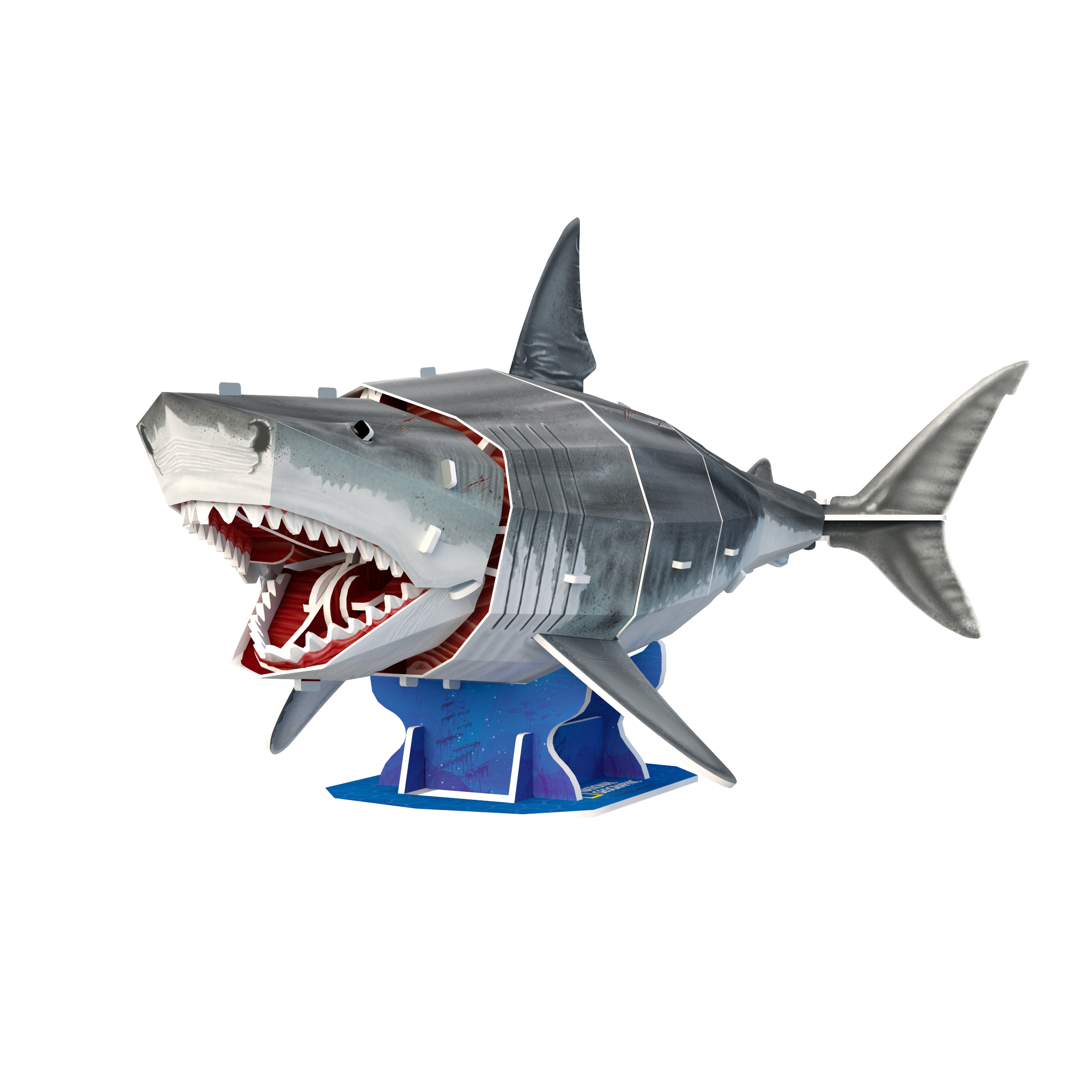 cubicfun-ds1098h-great-white-shark-puzzle-3d-grand-requin-blanc-sans-colle image 2