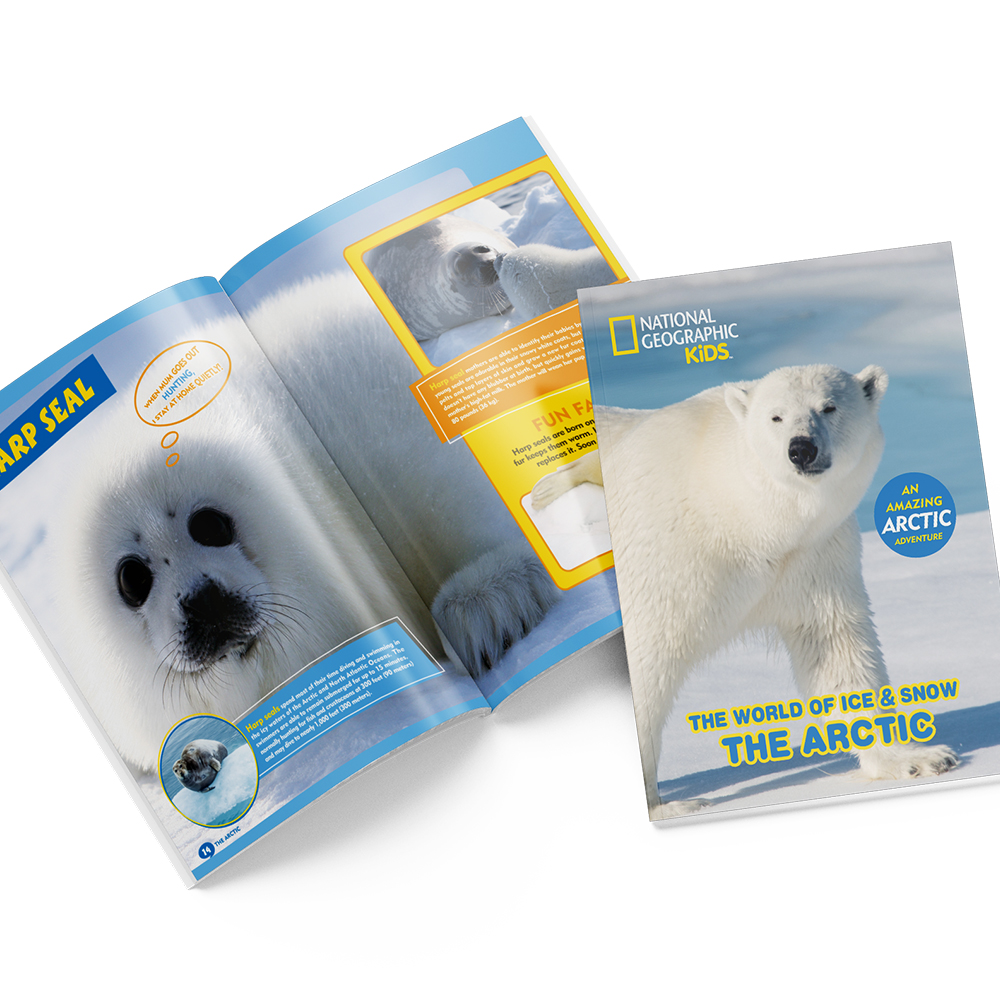 cubicfun-explorer-ds0983h-arctique-puzzle-3d-neige image 3