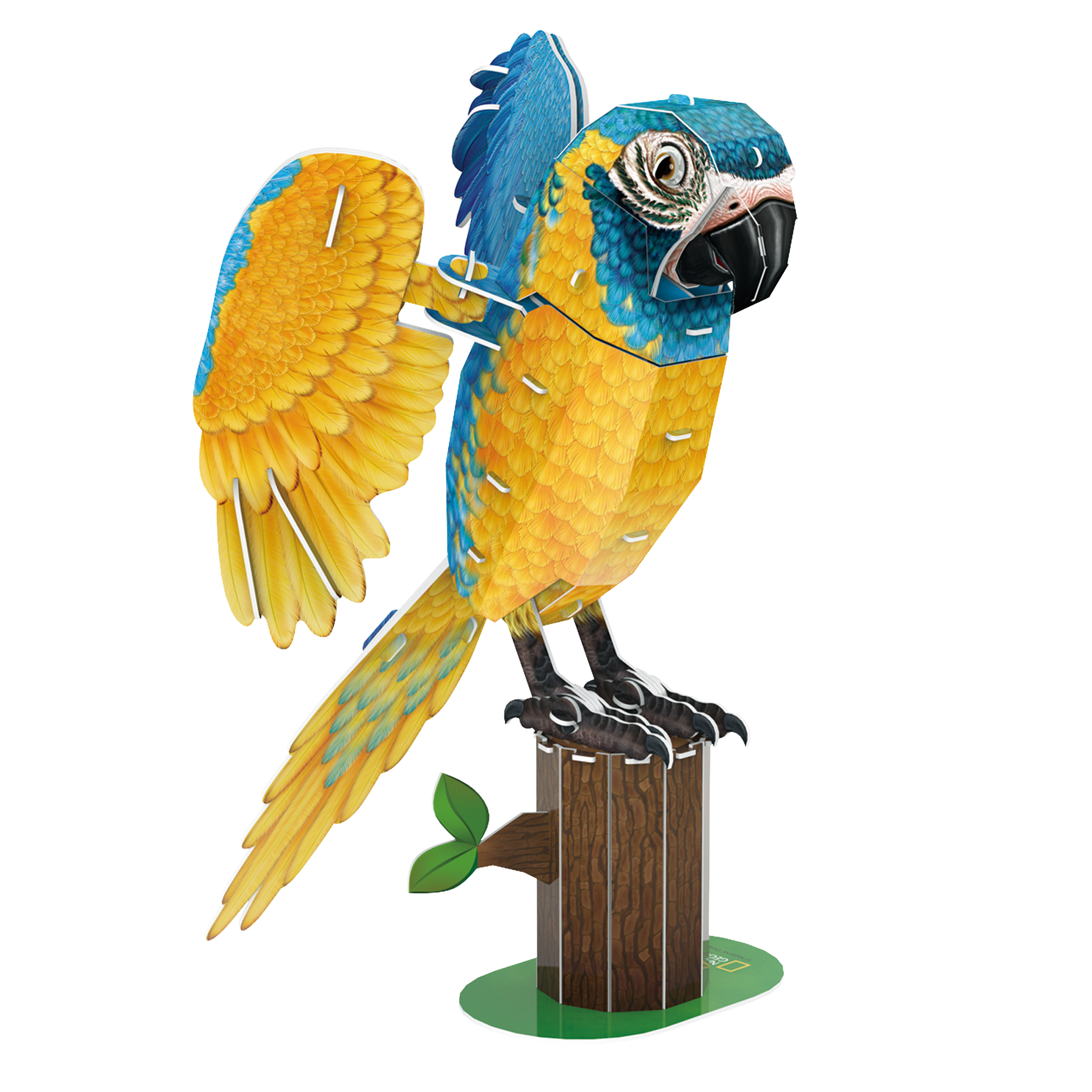cubicfun-wild-ds1097h-ara-puzzle-3d-perroquet-bleu image 2