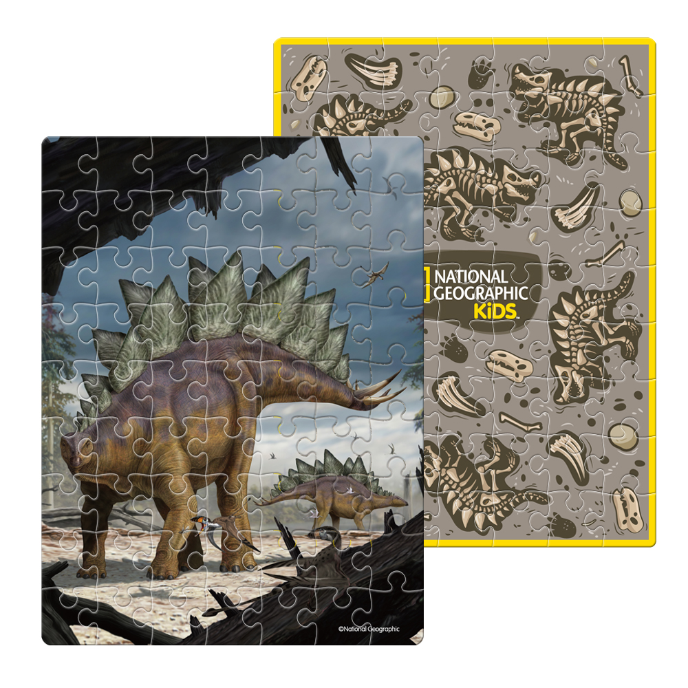 cubicfun-dino-puzzle-ds1043h-egg-stegosaurus-puzzle-3d-oeuf image 3