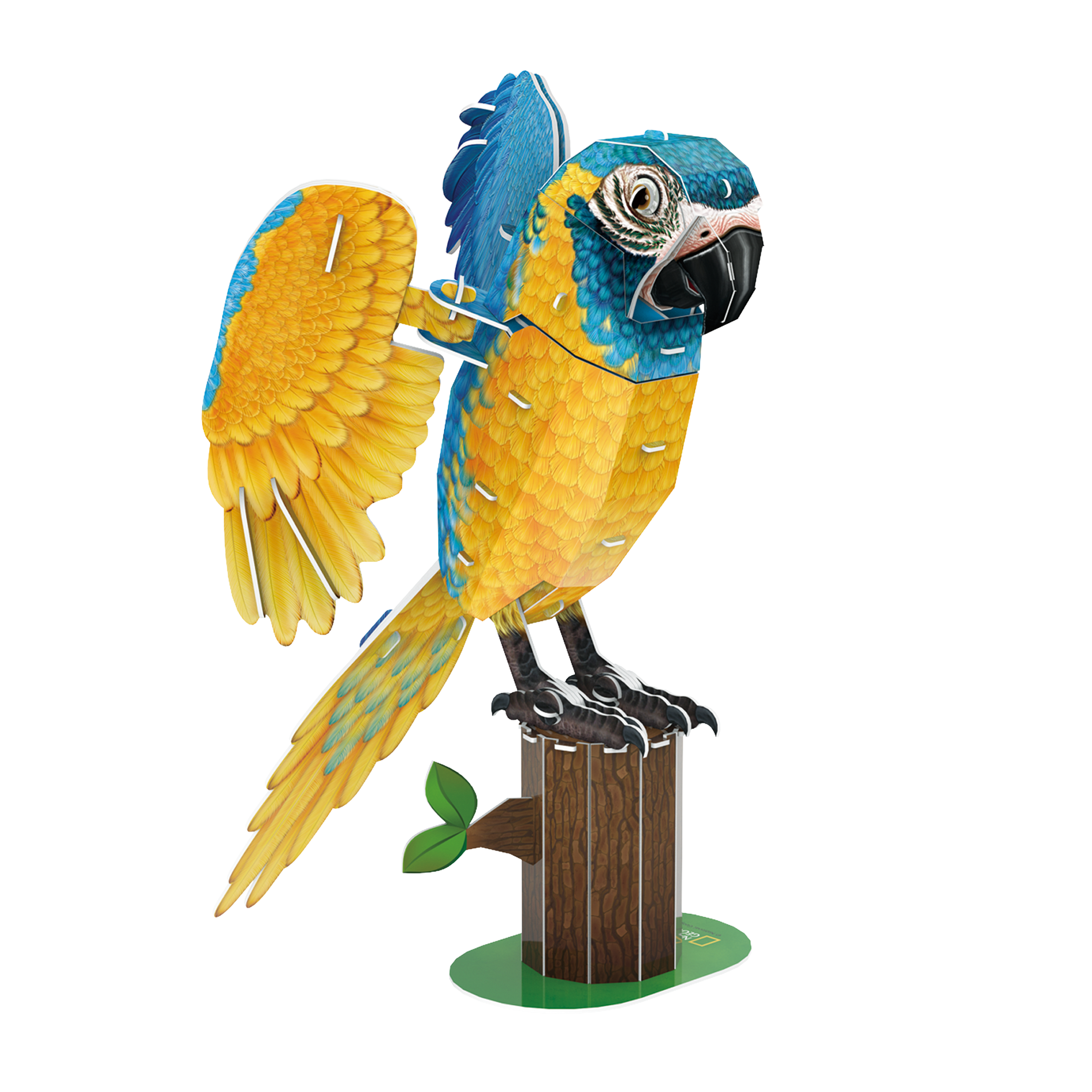 cubicfun-wild-ds1097h-ara-bleu-puzzle-3d-oiseau-exotique image 2
