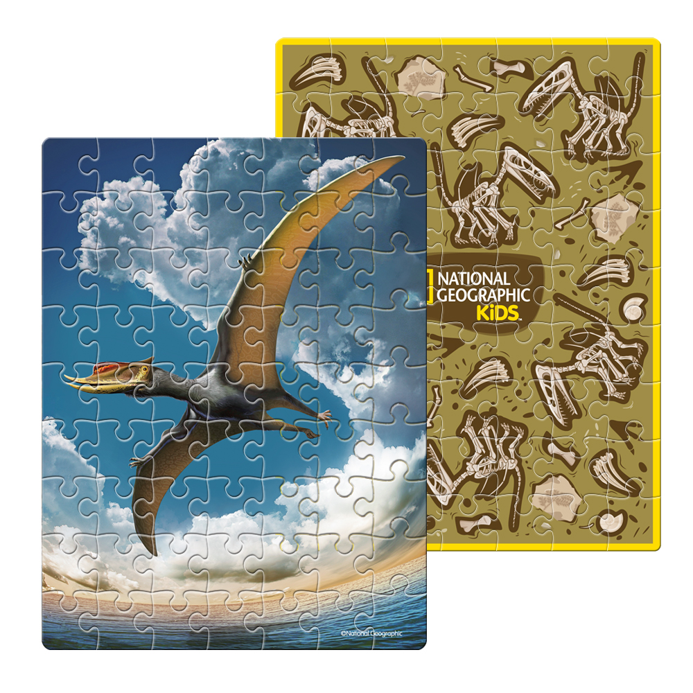 cubicfun-dino-puzzle-ds1044h-pterosaur-egg-puzzle-3d-oeuf image 3