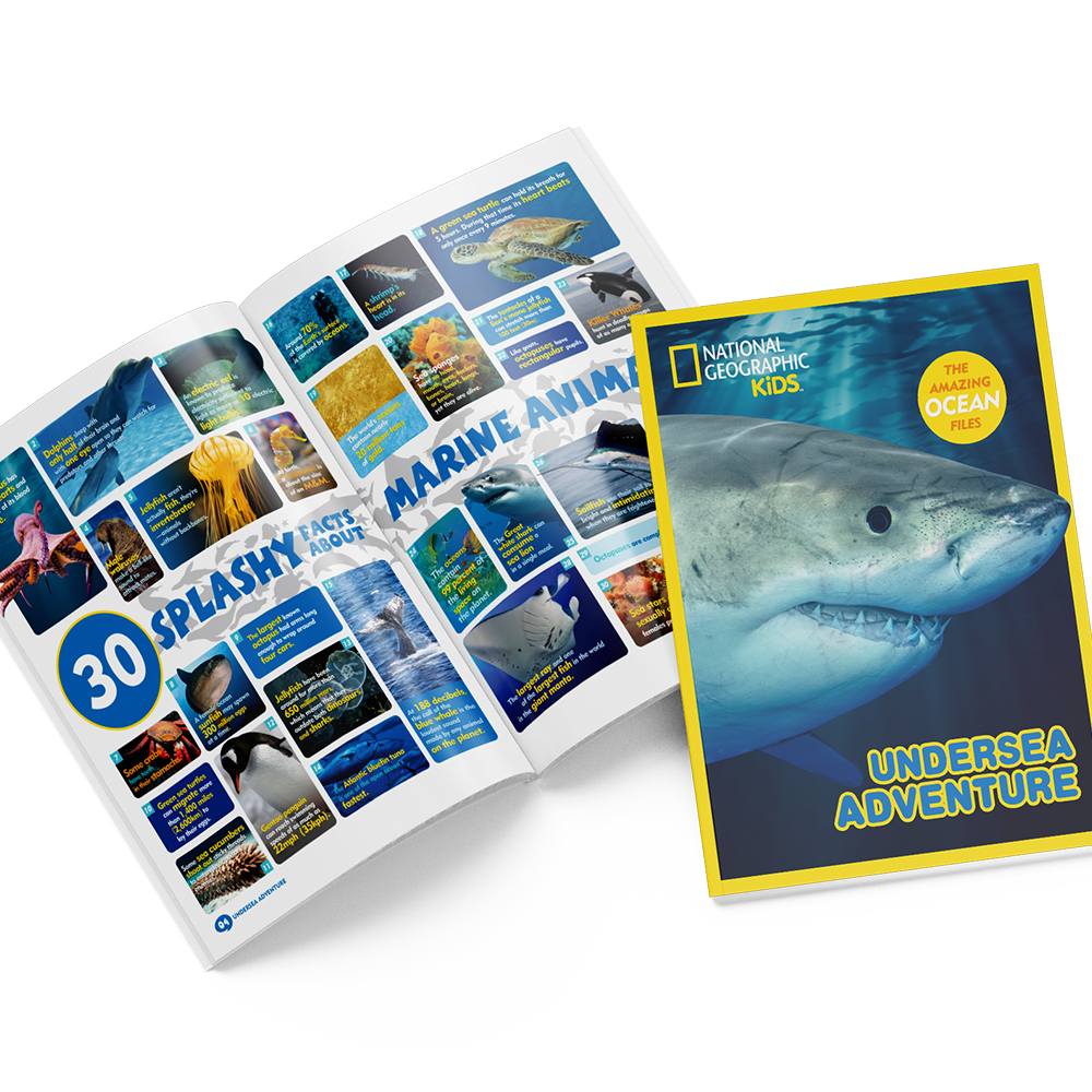 cubicfun-explorer-ds0974h-undersea-adventure-puzzle-3d-oc-an image 3
