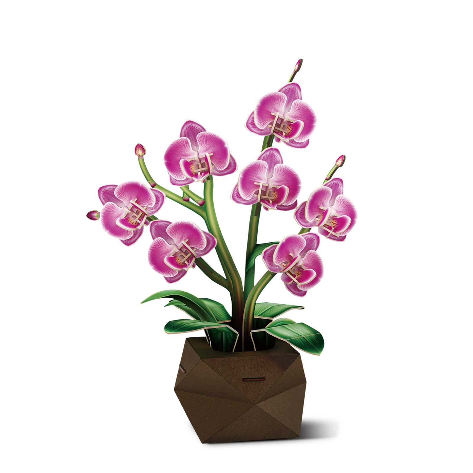 cubicfun-botanical-p872h-orchid-e-puzzle-3d-fleur image 2