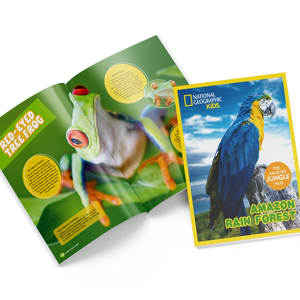 cubicfun-explorer-ds0979h-amazon-rain-forest-puzzle-3d-jungle image 3