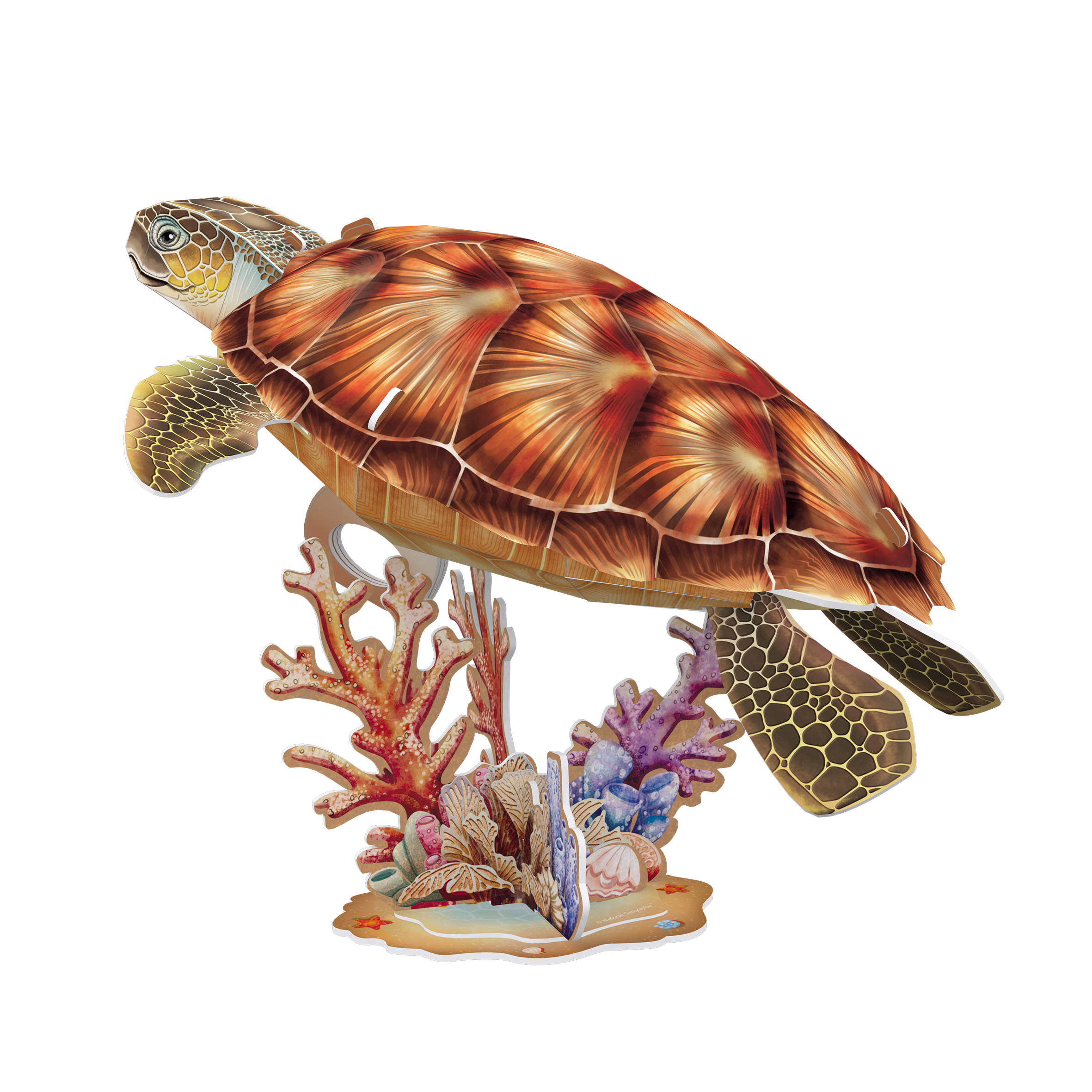 cubicfun-wild-and-endangered-animals-ds1080h-sea-turtle-puzzle-3d image 2