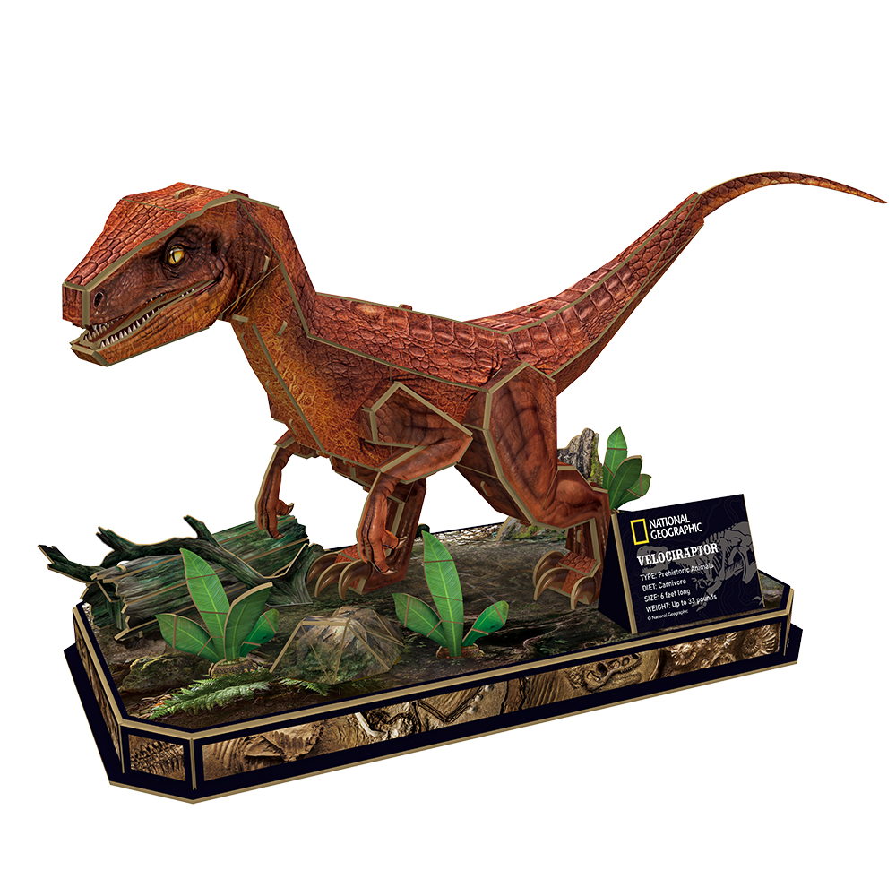 cubicfun-dino-ds1053h-v-lociraptor-puzzle-3d-dino image 2