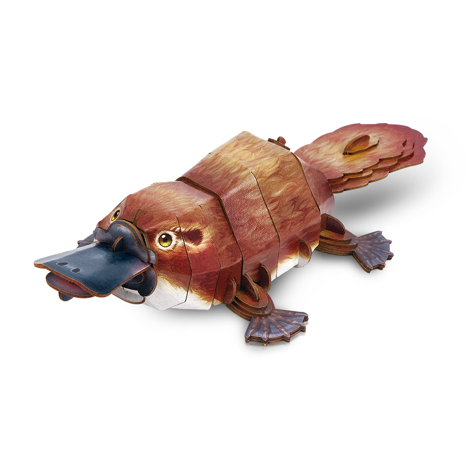 cubicfun-really-wild-animals-ds1184h-platypus-puzzle-3d-animal image 2
