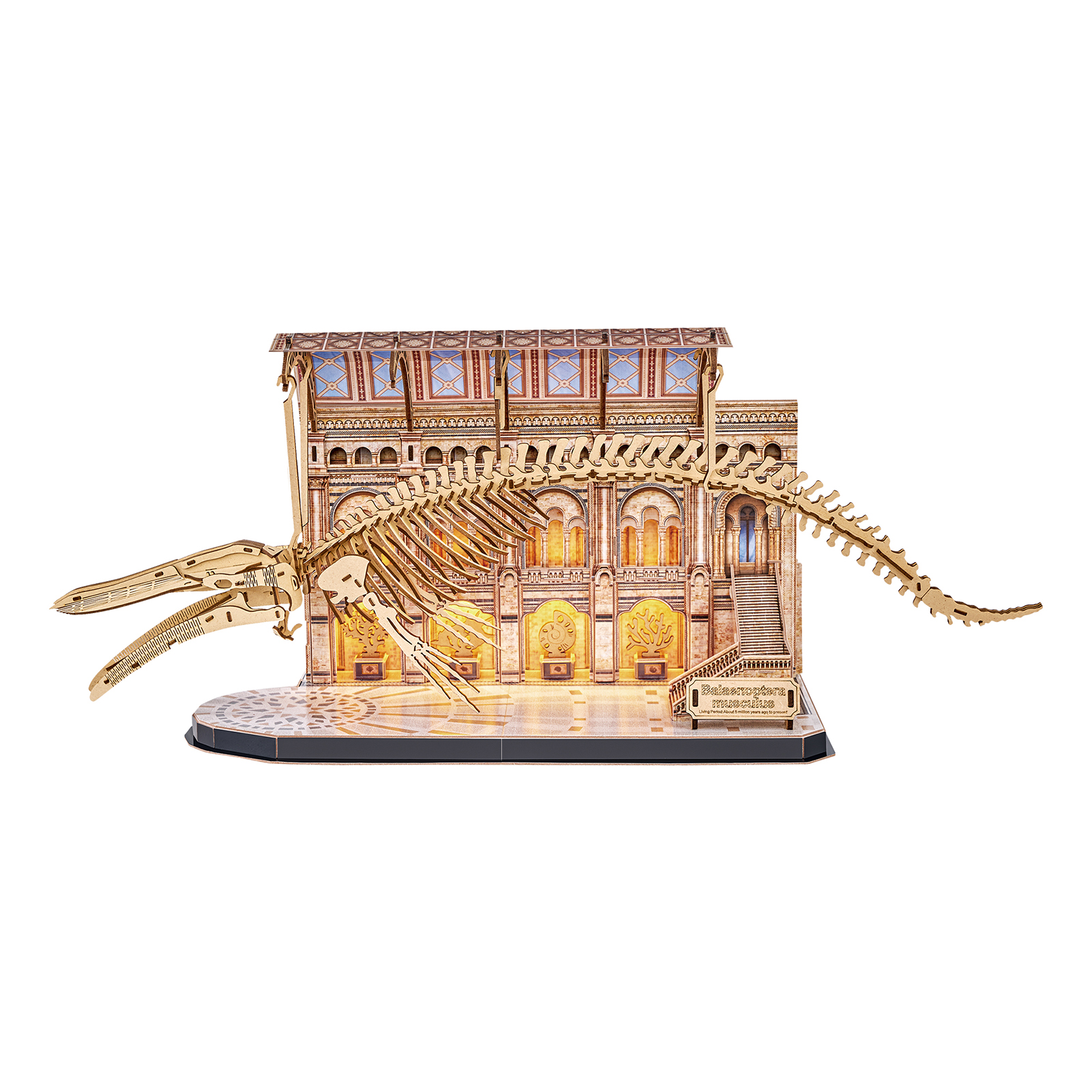 cubicfun-museum-l545h-puzzle-3d-baleine-bleue-squelette image 2