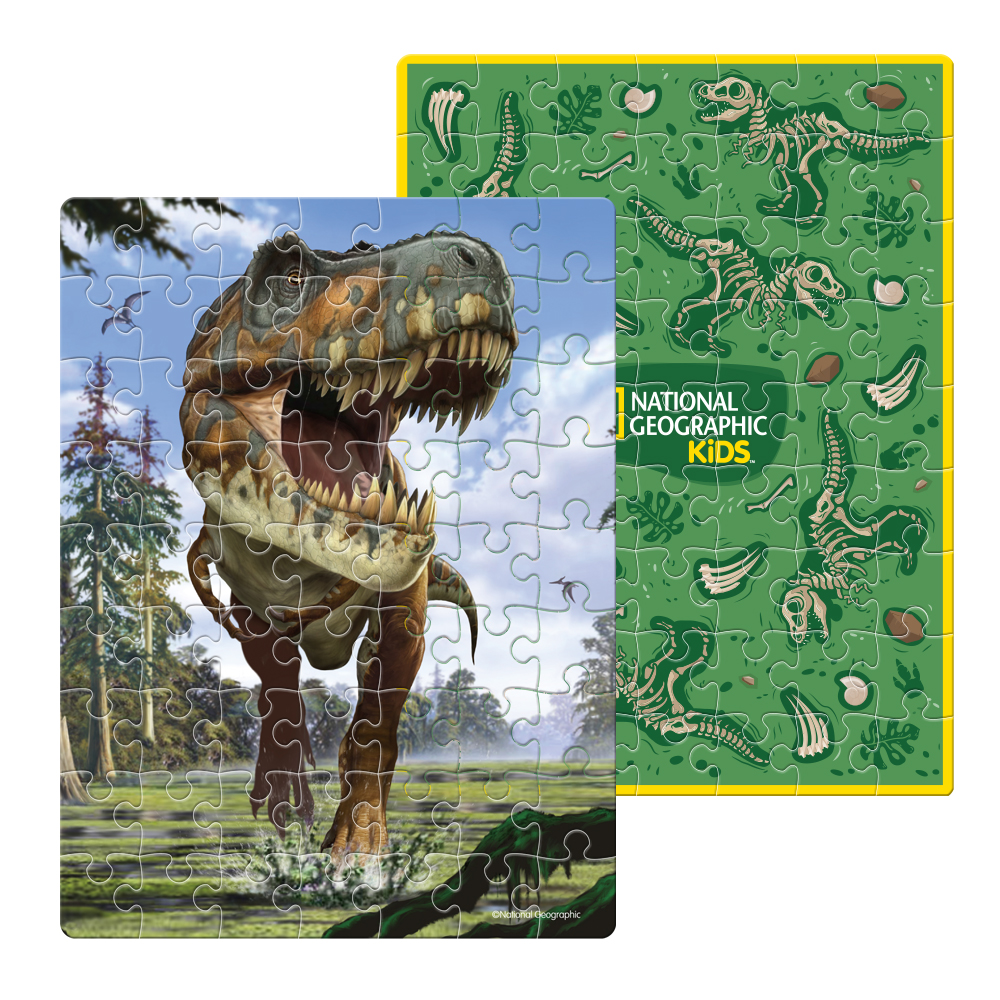 cubicfun-dino-puzzle-ds1041h-puzzle-uf-tyrannosaurus-rex image 3