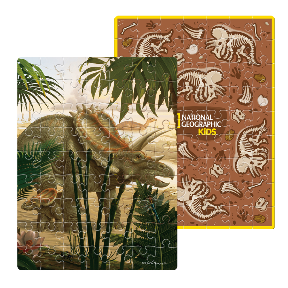 cubicfun-dino-ds1042h-uf-triceratops-puzzle-3d-dinosaure image 3